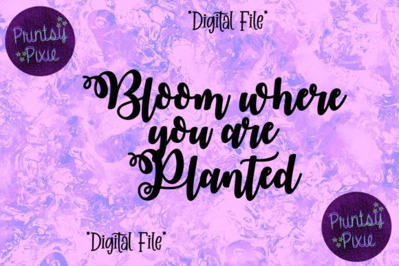 Bloom Where You Are Planted: A Designer’s Review